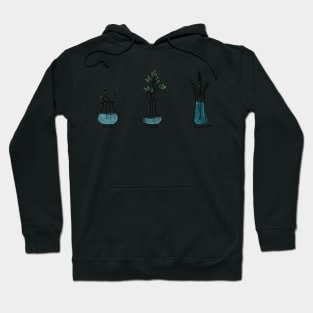 Trio of herbs in vases Hoodie